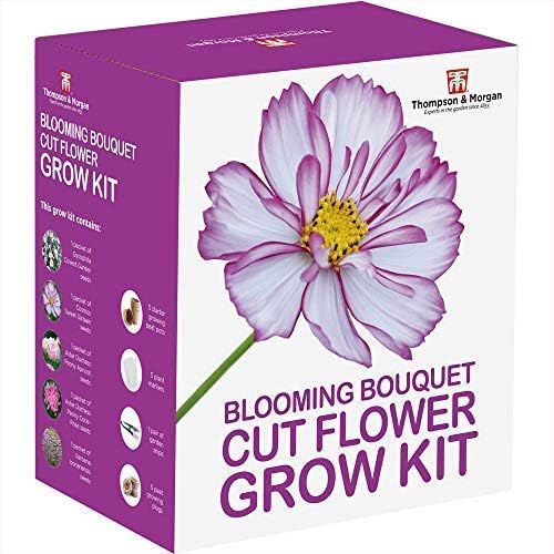 Blooming Bouquet Seed Growing Kit Gift Box, Grow Your Own Cut Flowers, Gypsophila, Cosmos