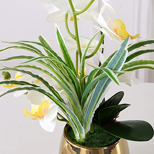 KINBEDY Artificial Bonsai Silk Orchids Phalaenopsis with Vase Home Office Decoration Party