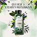 Herbal Essences, Volume Shampoo & Conditioner Kit With Natural Source Ingredients, For Fine Hair, Color Safe, BioRenew Cucumber & Green Tea, 13.5 fl oz, Kit