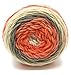 Caron Cake Self Striping Yarn 1 Ball Strawberry Trifle 7.1 Ounces