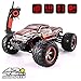 GoStock Remote Control Car, High Speed 42 km/h RC Car with 1:12 Scale Electric Monster Truck 2WD Off Road Car 2.4 Ghz Radio Remote Control Vehicle for RC Hobby