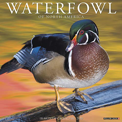F.R.E.E Waterfowl 2020 Wall Calendar [Z.I.P]