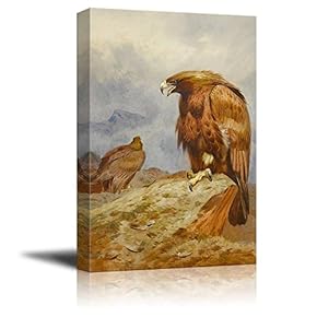 Beautiful Illustration of a Hawk