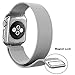 Apple Watch Band, Rerii Magnetic Closure, Milanese Loop, Mesh Stainless Steel, Replacement Wrist Band with Metal Protective Case for Apple Watch Series 3 / 2 / 1, Sport & Edition 42mm