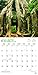 The Majesty of Trees 2018 Calendar