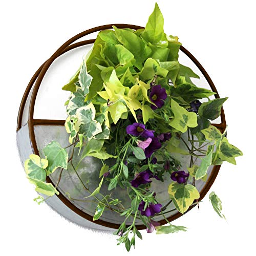 Drift Bliss Rustic Galvanized Succulent Wall Planter with a Natural Handmade Industrial Look & Waterproof Lining. Modern Farmhouse Style and Vintage Indoor and Outdoor Wall Decor