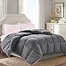Brermer Soft Queen Goose Down Alternative Comforter, All Seasons Puffy Warm Duvet Insert with 8 Corner Tabs, Luxury Reversible Hotel Collection, 88