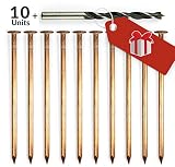 4 inch Copper Nails for Tree Treatment - Fungicides for Plants or Trees Stumps and Roots Killer - Pack of 10 Solid Copper Nail Spikes with Free Drill bit