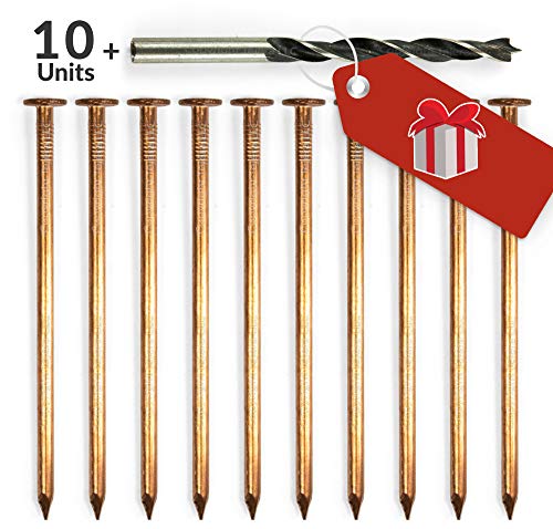 4 inch Copper Nails for Tree Treatment - Fungicides for Plants or Trees Stumps and Roots Killer - Pack of 10 Solid Copper Nail Spikes with Free Drill bit
