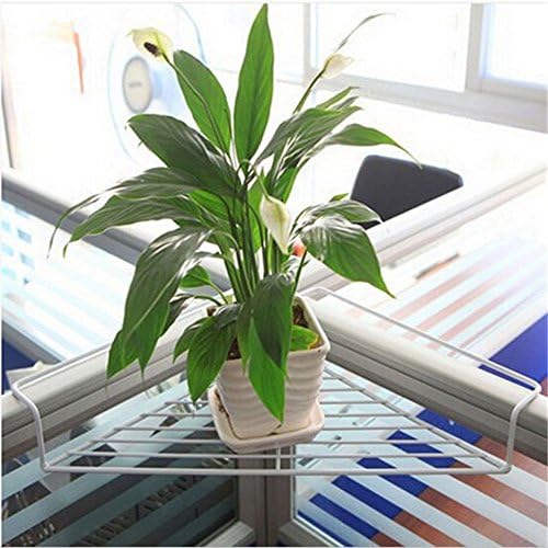 Iron Wire Outdoor Plant Caddy, Patio Fence Deck Porches Railing Shelf Flower Pots and More Holder, Space-Saving Office Cubicle Grid Works Sundries Storage Rack, No Screws Required (White)