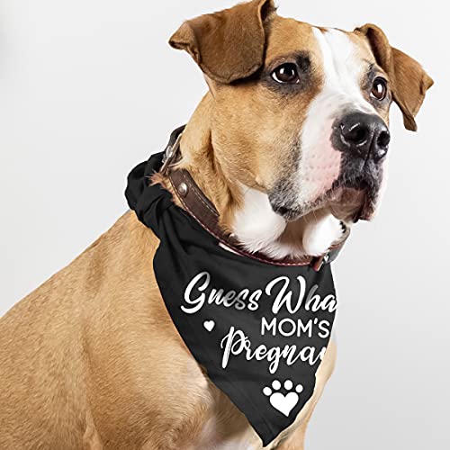 Guess What? My Mom is Pregnant, Pregnancy Announcement Dog Bandana
