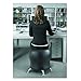 Safco Products Zenergy Ball Chair 4751BV, Black Vinyl, Low Profile, Easy-to-Clean, Steel Legs