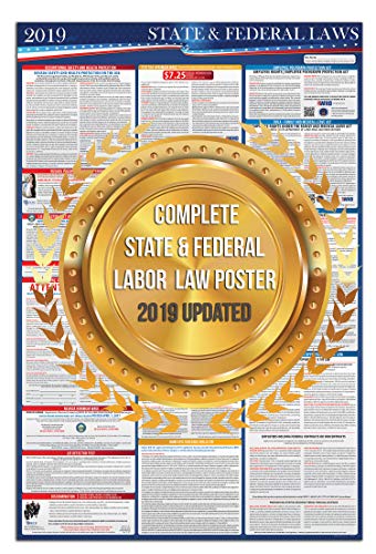 2019 (New) New York State and Federal Labor Laws Poster - OSHA Workplace Compliant 24" x 36" - All in One Required Posting - UV Coated