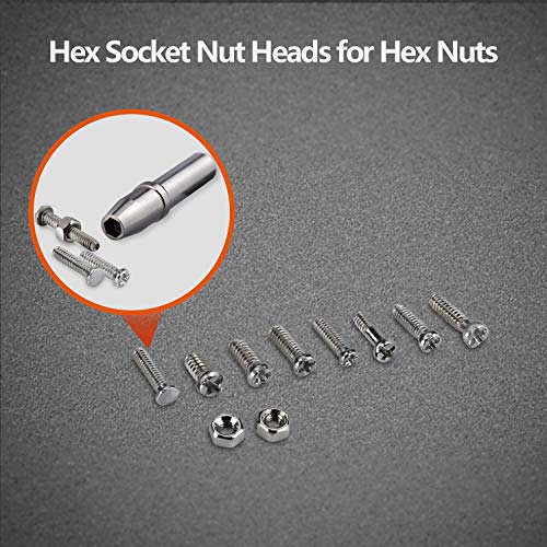 image for HQMaster 1000Pcs Eyeglasses Sunglass Spectacles Tiny Screws Nut Assort