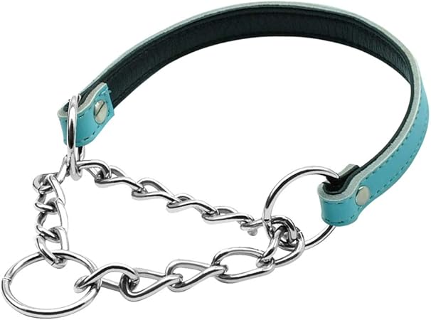 half choke collar training