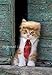 Prymal Comfort Cat Costume for Halloween, Parties and Pictures