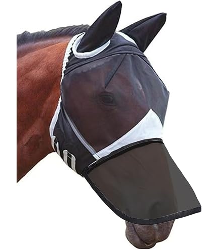Achetez Masques De Cheval en ligne au Meilleur Prix - Haïti