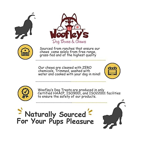 Cow Hooves (10 Count) Premium Hooves For Dogs Beef Hoof Dog Chews