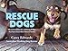 Rescue Dogs: Heartwarming tales of dumped dogs that have found their forever homes by