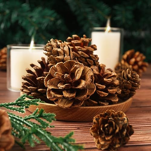 JOHOUSE 30PCS Christmas Pine Cones, Natural Pinecones for Crafts Assortment Rustic Pine Cones for Decorating Christmas Winter Holidays Table Bowl Fillers