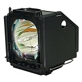 Samsung BP96-01472A Replacement Lamp w/Housing 6,000 Hour Life & 1 Year Warranty