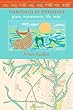 Territories of Difference