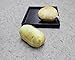 Glovion Artificial Vegetables Potato Toy Realistic Fake Potatoes Decoration Cute Plush Potato Toys Décor for Home Kitchen Party Size 5’’