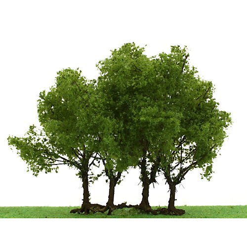 JTT Pro-Elite Tree, Privet 3-3.5