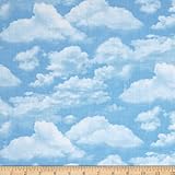 Timeless Treasures Beach Pass Sky Fabric By The Yard