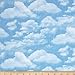 Timeless Treasures Beach Pass Sky Fabric By The Yard