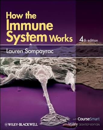 Diekopfpiloten.de/typo3/gfx/clickmenu