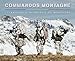 Commandos montagne : 27e brigade d'infanterie de montagne by