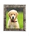 BarnwoodUSA 8 by 10 Inch Picture Frame 1 ¼ Inch Wide with Easel Back and Glass - Reclaimed Wood