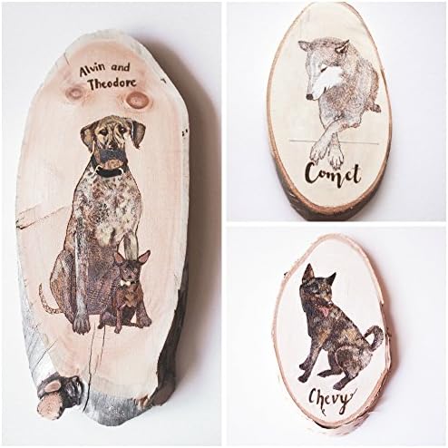 Custom Dog Cat Pet Portrait Painting on Wood