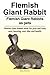 Flemish Giant Rabbit. Flemish Giant Rabbits as pets. Flemish Giant Rabbit book for pros and cons, ca by Macy Peterson