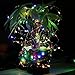 LiyuanQ Solar String Lights, 2 Pack 100 LED Solar Fairy Lights 33 feet 8 Modes Copper Wire Lights Waterproof Outdoor String Lights for Garden Patio Gate Yard Party Wedding Indoor Bedroom Multicolor