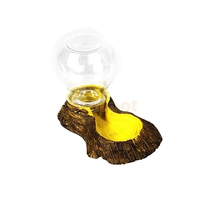 Buy Pinkdose Yellow L Creative Reptile Bowl Food Water Dish