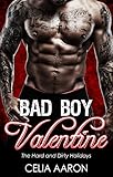 Bad Boy Valentine: The Hard and Dirty Holidays