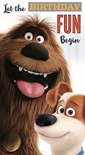 Secret Life of Pets "Let the birthday fun begin General Birthday Card