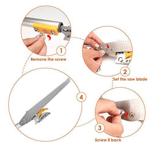 Pole saws for tree trimming, Telescopic Long Reach  Pruner 4.5-9.6 Feet | Long Handled Fruit Picker | Garden bypass Tree Lopper pruning shears With Pole Saw by Belpink - Thumbnail 4