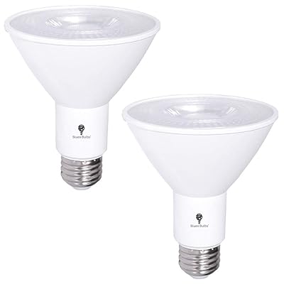 Buy 2 Pack Par30 Led Flood Light Bulb 12w 75 Watt Equivalent 800 Lumens Waterproof E26 5000k Cool White Super Bright Led Flood Light Bulbs For Security Garage Led Spotlight Bulb Led