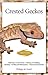 Crested Geckos by Philippe De Vosjoil