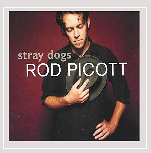 Stray Dogs