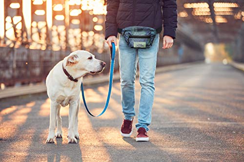 Chillbo Fanny Pack - Fanny Packs for Women and Waist Bags for Men (Blue Leaf)