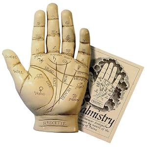 Amazon.com: Palmistry Hand Kit: Halloween Holiday Prop Includes 15 ...