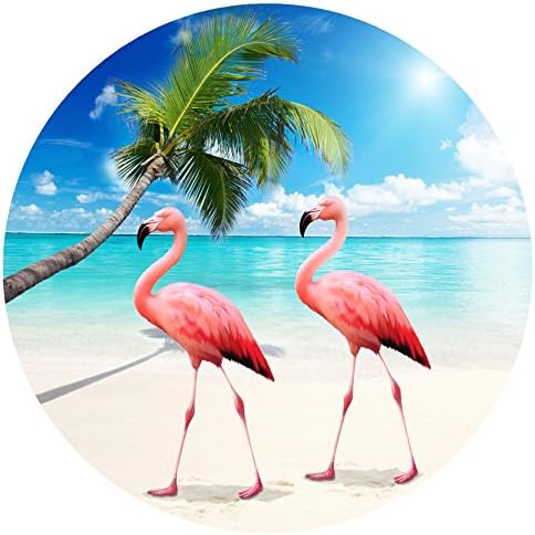 Screen Door Magnets – Twist, Click and Lock - Keep People and Pets Safe – Magnetic Screen Door Magnet Saver – Screen Door Magnet Decoration - Robbins Aria (Flamingos)