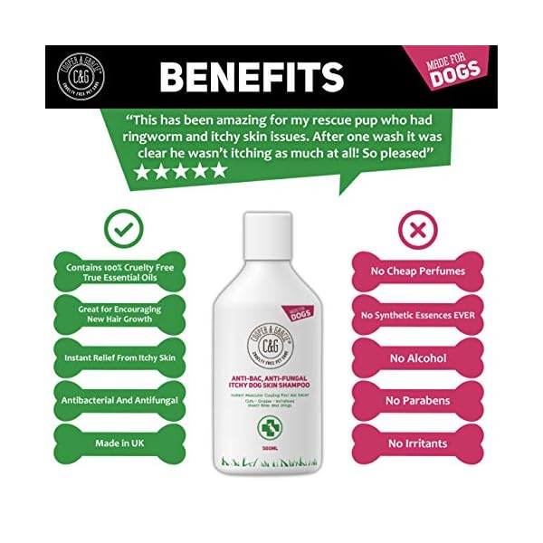 CG-Pets-Dog-Shampoo-For-Itchy-Skin-Antibacterial-And-Antifungal-100-Natural-Medicated-Low-Lather-Safe-Formula-Fast-Absorbing-and-Skin-Cooling-First-Aid-Great-For-Cuts-Grazes-Skin-Irritation C&G Pets | Dog Shampoo For Itchy Skin Antibacterial And Antifungal | 100% Natural Medicated Low Lather Safe Formula…