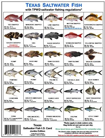 Amazon Com Texas Saltwater Fish Identification Card Set Three Waterproof Cards Showing 60 Common Fish And 17 Sharks In True To Life Photographs With Current 2020 2021 Tpwd Rules And Additional Information Sports Outdoors