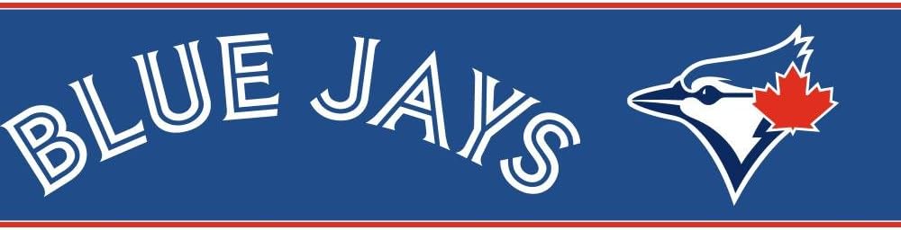 Amazon Com York Wallcoverings Zb3395bdsmp Boys Will Be Boys Ii