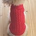 Tangpan Turtleneck Classic Straw-Rope Pro Pet Dog Sweater Apparel (Red,M)